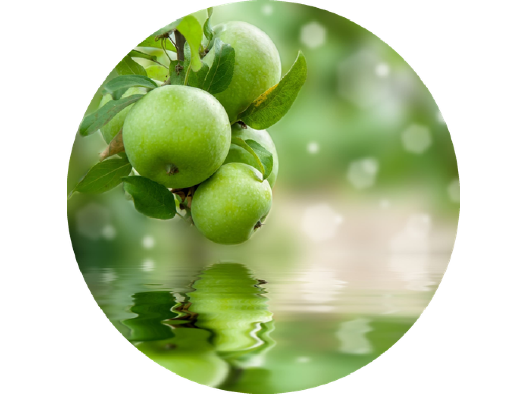 F6 Duftkartusche POD/SOLO/DUAL – Green Apple (Grüner Apfel)