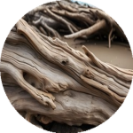 F5 Duftkartusche – Salted Driftwood (Gespültes Treibholz)
