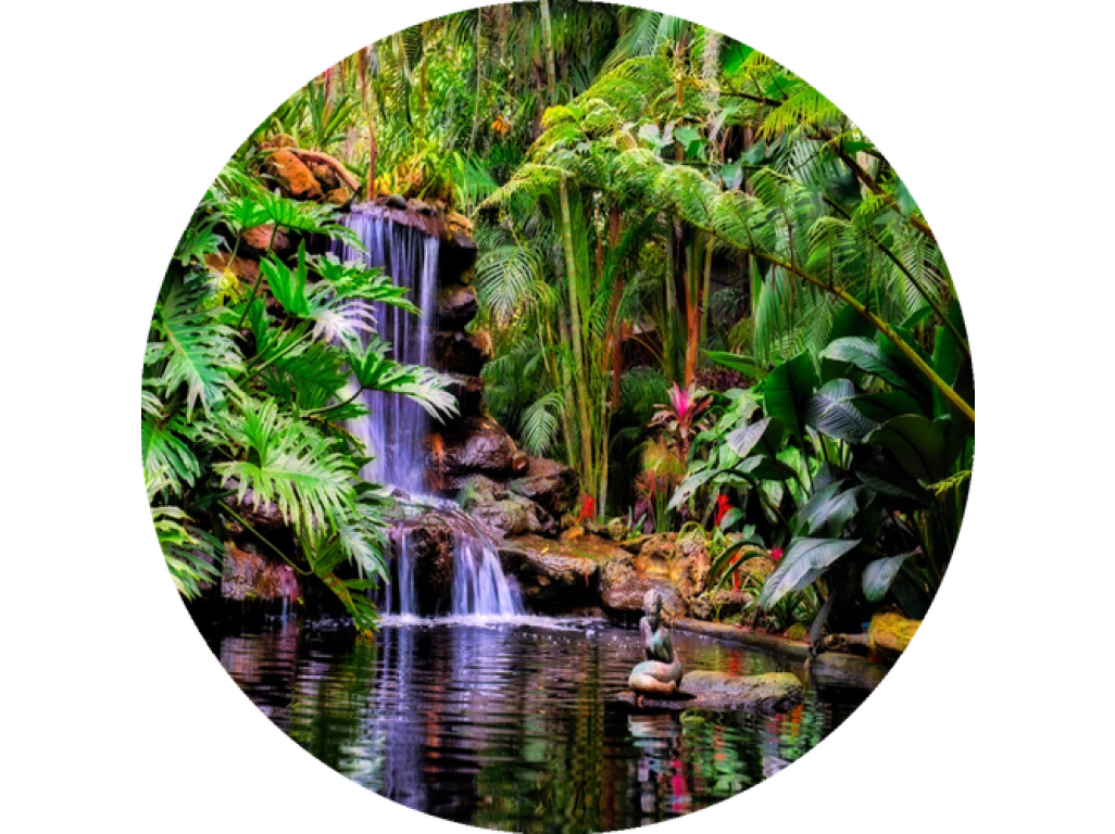 F6 Duftkartusche SOLO/DUAL – Tropical Garden (Tropischer Garten)