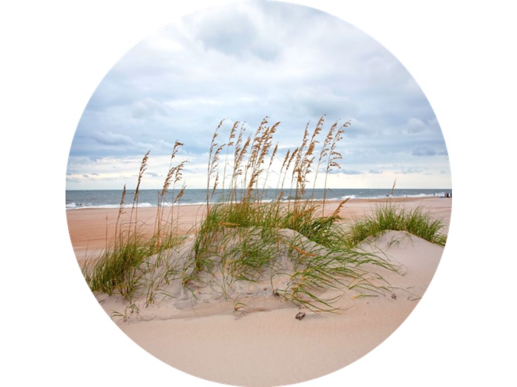 F6 Duftkartusche POD/SOLO/DUAL – Coastal winds (Frische Meeresbrise)