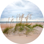 F6 Duftkartusche POD/SOLO/DUAL – Coastal winds (Frische Meeresbrise)