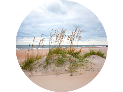 F6 Duftkartusche POD/SOLO/DUAL – Coastal winds (Frische Meeresbrise)